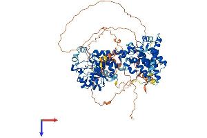 AlphaFold protein structure predicition of Human Recombinant PTPDC1 Protein, UniprotID A2A3K4