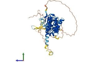 AlphaFold protein structure predicition of Mouse Recombinant Lrrc42 Protein, UniprotID Q8R2U7