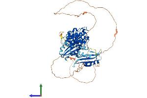 AlphaFold protein structure predicition of Mouse Recombinant Melk Protein, UniprotID Q61846