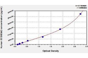 Typical standard curve (SCGB3A2 Kit ELISA)