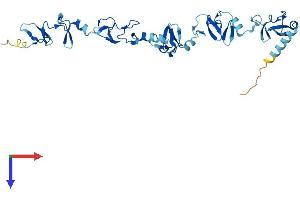 AlphaFold protein structure predicition of Mouse Recombinant Lims2 Protein, UniprotID Q91XD2