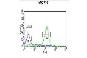LUC7L2 Antibody (C-term) (ABIN653502 and ABIN2842911) flow cytometric analysis of MCF-7 cells (right histogram) compared to a negative control cell (left histogram).