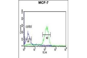 LUC7L2 Antibody (C-term) (ABIN653502 and ABIN2842911) flow cytometric analysis of MCF-7 cells (right histogram) compared to a negative control cell (left histogram). (LUC7L2 anticorps  (C-Term))