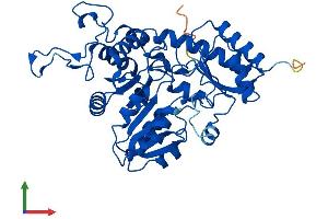 AlphaFold protein structure predicition of Human Recombinant CTH Protein, UniprotID P32929