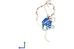 AlphaFold protein structure predicition of Human Recombinant WBP2NL Protein, UniprotID Q6ICG8