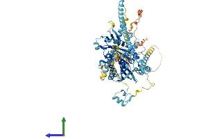 AlphaFold protein structure predicition of Mouse Recombinant Kif3b Protein, UniprotID Q61771