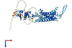 AlphaFold protein structure predicition of Human Recombinant KCNC1 Protein, UniprotID P48547