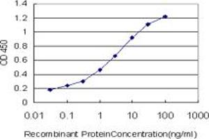Detection limit for recombinant GST tagged SGK2 is approximately 0.