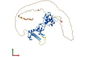 AlphaFold protein structure predicition of Human Recombinant RFFL Protein, UniprotID Q8WZ73