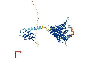 AlphaFold protein structure predicition of Mouse Recombinant Nr1i2 Protein, UniprotID O54915