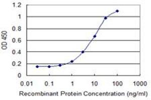 Detection limit for recombinant GST tagged IL31RA is 0. (IL31RA anticorps  (AA 21-120))