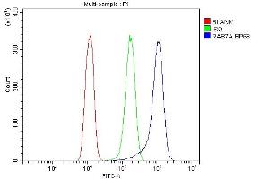 Flow Cytometry analysis of A431 cells using anti-RAB7 antibody (ABIN3044538). (RAB7A anticorps  (C-Term))
