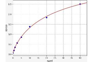 Typical standard curve (NDRG1 Kit ELISA)