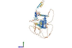 AlphaFold protein structure predicition of Mouse Recombinant Tmem201 Protein, UniprotID A2A8U2