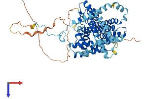 AlphaFold protein structure predicition of Mouse Recombinant Dgat1 Protein, UniprotID Q9Z2A7