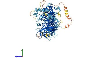 AlphaFold protein structure predicition of Human Recombinant FERMT3 Protein, UniprotID Q86UX7