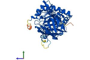 AlphaFold protein structure predicition of Mouse Recombinant Pipox Protein, UniprotID Q9D826