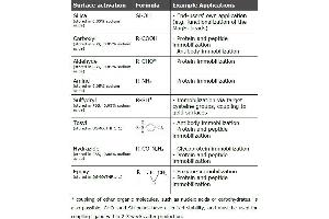 Active surfaces and example applications of MagSi-tools (MagSi-S NH2 1.0 beads)
