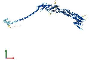 AlphaFold protein structure predicition of Mouse Recombinant Cog5 Protein, UniprotID Q8C0L8