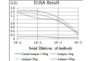Black line: Control Antigen (100 ng), Purple line: Antigen(10 ng), Blue line: Antigen (50 ng), Red line: Antigen (100 ng), (PIWIL4 anticorps  (AA 304-434))