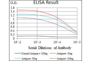 ELISA image for anti-EGFR Mutant (AA 693-893), (Mutant) antibody (ABIN1845729) (EGFR Mutant (AA 693-893), (Mutant) anticorps)
