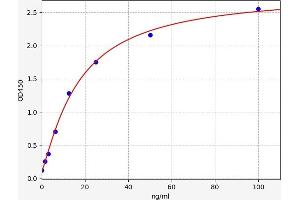 Typical standard curve (CKM Kit ELISA)