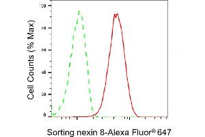 Flow cytometric analysis of Sorting nexin 8 expression in HepG2 cells using Sorting nexin 8 antibody (ABIN7800411), 1:2,000).