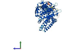 AlphaFold protein structure predicition of Mouse Recombinant Cyp19a1 Protein, UniprotID P28649
