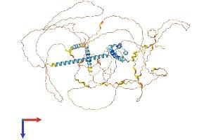 AlphaFold protein structure predicition of Human Recombinant SRRM1 Protein, UniprotID Q8IYB3