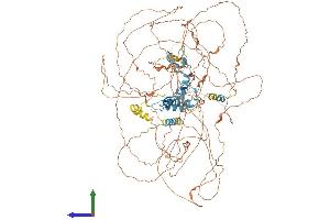 AlphaFold protein structure predicition of Human Recombinant GLI1 Protein, UniprotID P08151