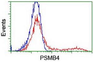 HEK293T cells transfected with either RC205723 overexpress plasmid (Red) or empty vector control plasmid (Blue) were immunostained by anti-PSMB4 antibody (ABIN2454988), and then analyzed by flow cytometry. (PSMB4 anticorps)