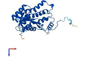 AlphaFold protein structure predicition of Human Recombinant HSD17B14 Protein, UniprotID Q9BPX1