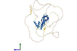 AlphaFold protein structure predicition of Human Recombinant MLLT1 Protein, UniprotID Q03111