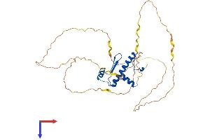 AlphaFold protein structure predicition of Mouse Recombinant Mef2b Protein, UniprotID O55087