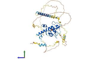 AlphaFold protein structure predicition of Human Recombinant CDCA7L Protein, UniprotID Q96GN5
