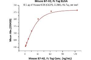 Immobilized Mouse ICOS (C137S, C138S), His Tag (ABIN6731301,ABIN6809884) at 5 μg/mL (100 μL/well) can bind Mouse B7-H2, Fc Tag (ABIN6923170,ABIN6938859) with a linear range of 2-31 ng/mL (QC tested).