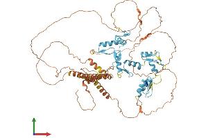 AlphaFold protein structure predicition of Human Recombinant PATZ1 Protein, UniprotID Q9HBE1