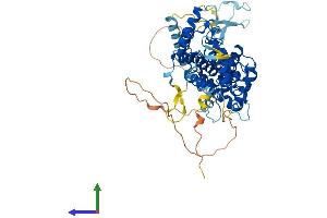 AlphaFold protein structure predicition of Human Recombinant TAF1B Protein, UniprotID Q53T94