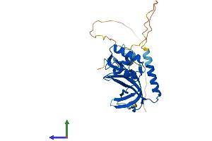 AlphaFold protein structure predicition of Human Recombinant RPA2 Protein, UniprotID P15927