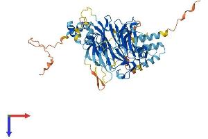 AlphaFold protein structure predicition of Human Recombinant FBXO24 Protein, UniprotID O75426