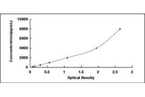 Typical standard curve (MYH7 Kit ELISA)