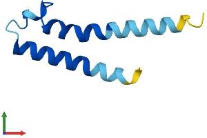 AlphaFold protein structure predicition of Mouse Recombinant Pigy Protein, UniprotID P0C1P0
