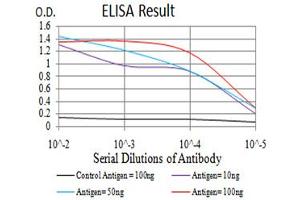 Fig. (SIRT4 anticorps  (AA 215-314))