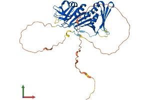 AlphaFold protein structure predicition of Mouse Recombinant Rad9a Protein, UniprotID Q9Z0F6