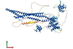 AlphaFold protein structure predicition of Mouse Recombinant Arhgap26 Protein, UniprotID Q6ZQ82