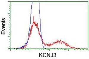 Image no. 5 for anti-Potassium Inwardly-Rectifying Channel, Subfamily J, Member 3 (KCNJ3) (AA 279-501) antibody (ABIN1491310)