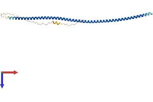 AlphaFold protein structure predicition of Human Recombinant SYCP3 Protein, UniprotID Q8IZU3
