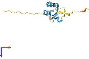 AlphaFold protein structure predicition of Mouse Recombinant Bola1 Protein, UniprotID Q9D8S9
