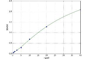 Activating Transcription Factor 2 (ATF2) ELISA Kit