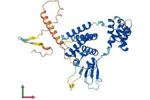 AlphaFold protein structure predicition of Mouse Recombinant Fbxo32 Protein, UniprotID Q9CPU7
